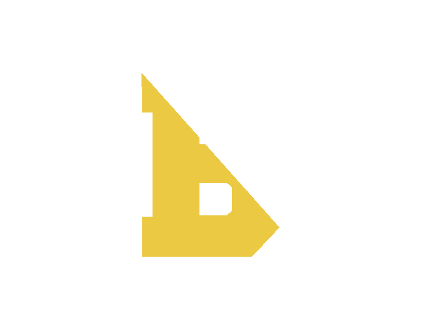 Birmingham Bobcats Field Hockey