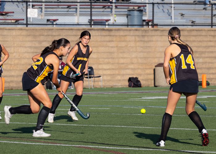 Youth field hockey players